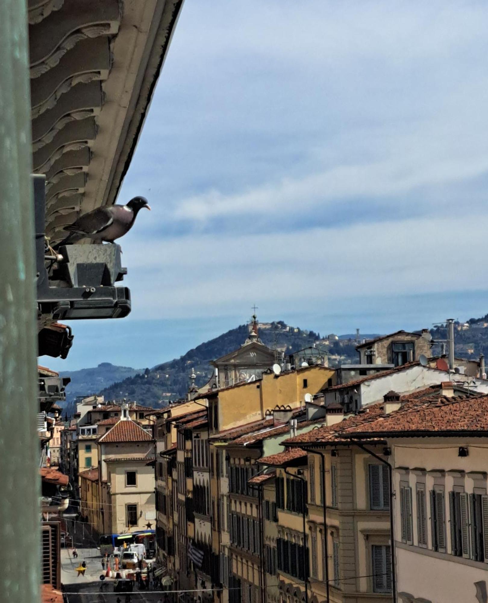 Lacasadicavour Duomo *